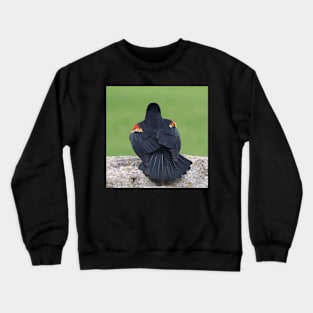 An Elegant Red-Winged Blackbird Crewneck Sweatshirt